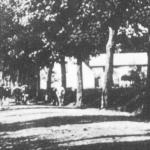 G&lstrok;&oacute;wna ulica wsi. Widok na p&oacute;&lstrok;nocny zach&oacute;d w kierunku Trzebiatowa, 1926.